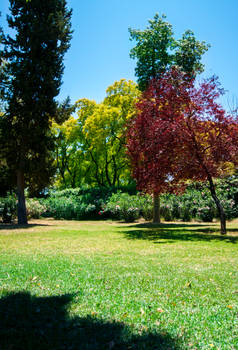 Parque de los Principes