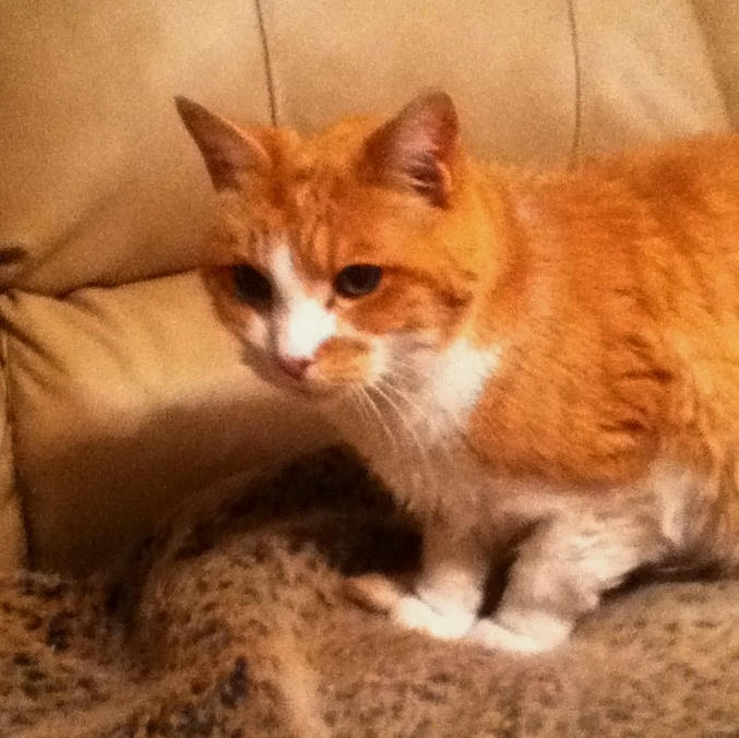 Ol' Riley by skygal333 on DeviantArt