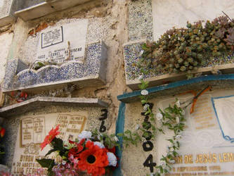 Guatemalan Graves.