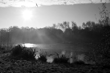 First Frost