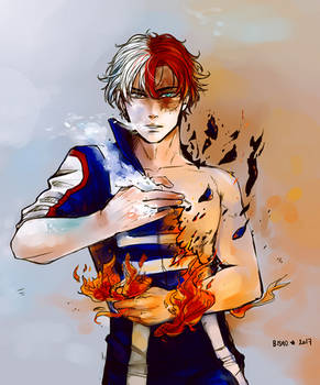 BNHA - Todoroki