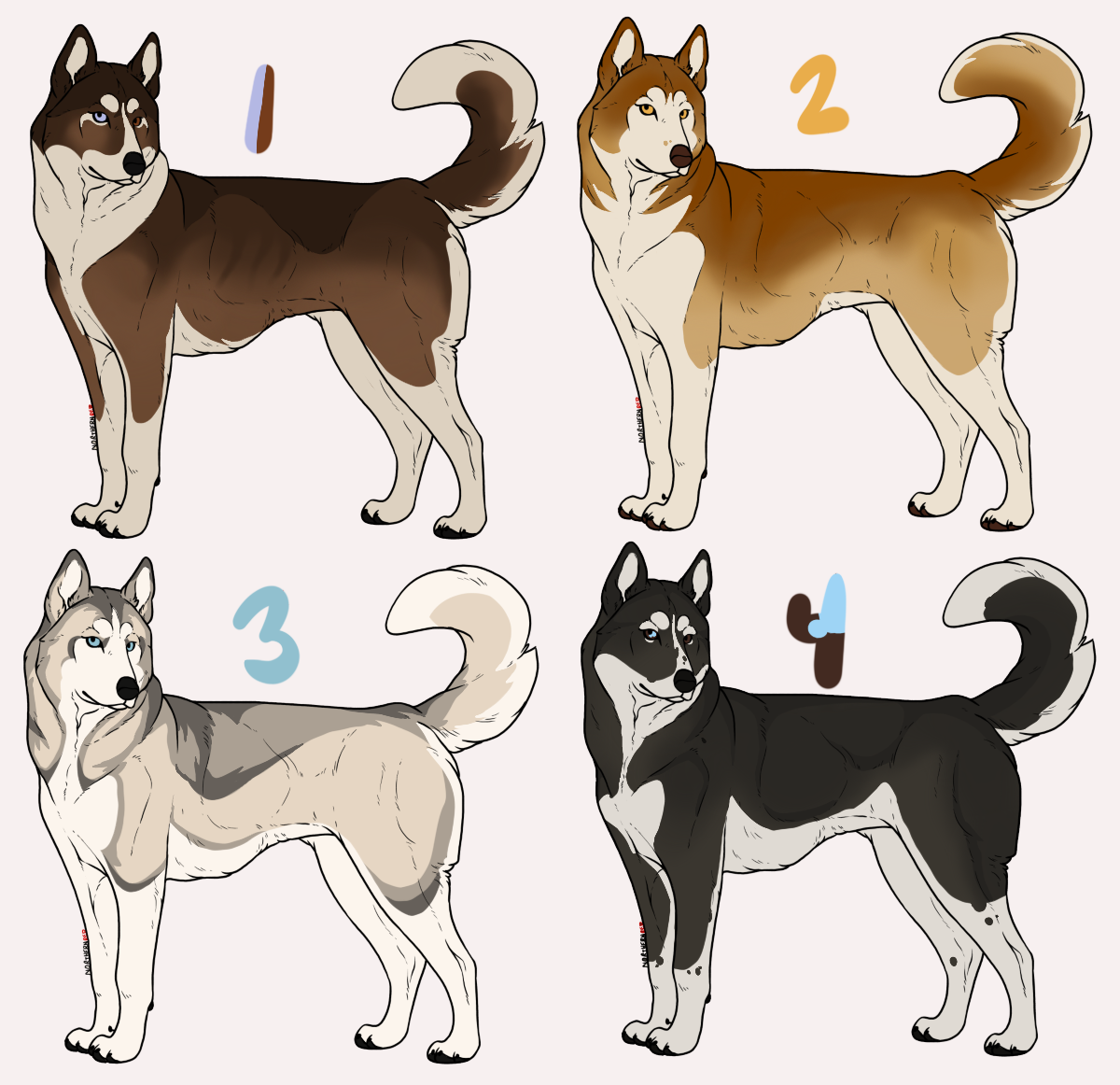 Husky Deviantart (Imports) Siberian Husky ($4) (4/4 Open) by baddogue on DeviantArt