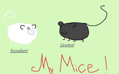 My Mice