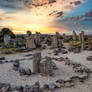 Stone Forest, Varna Region, Bulgaria