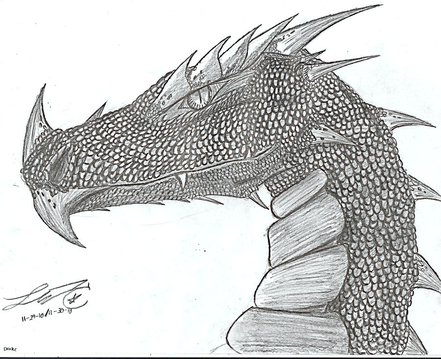 Dragon for Nawesomes