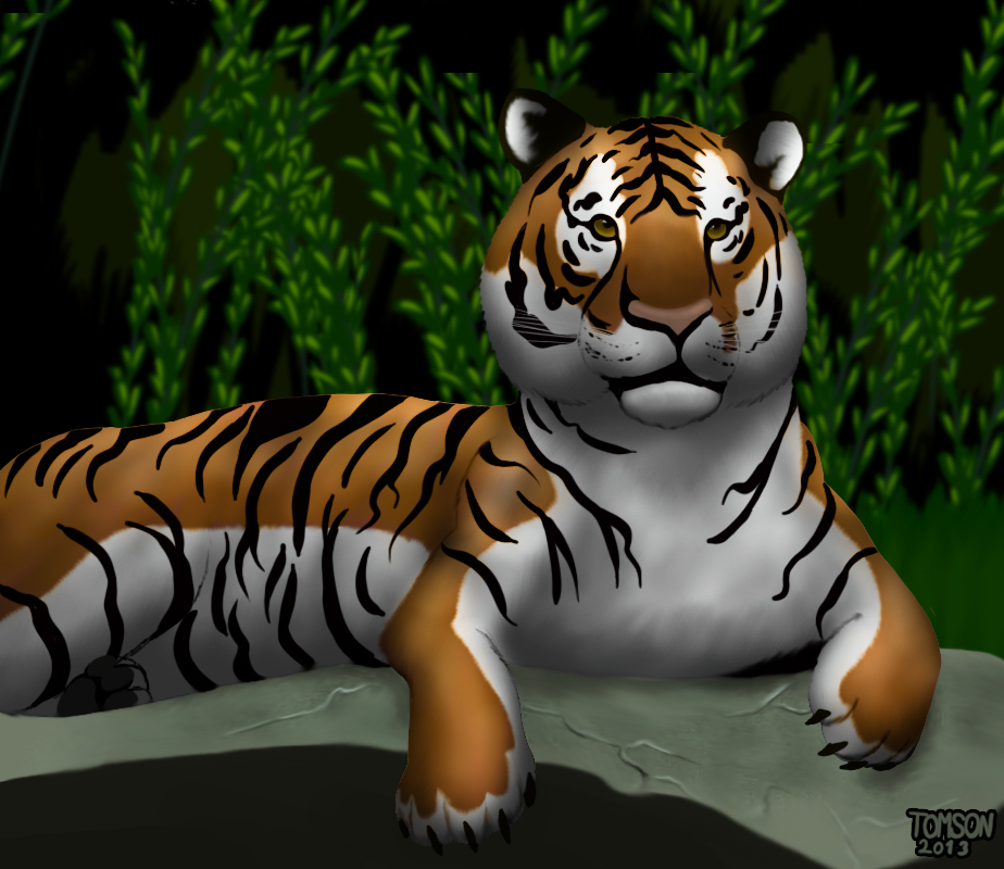 Tiger Painting by UWfan-Tomson on DeviantArt