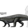 Calyptosuchus