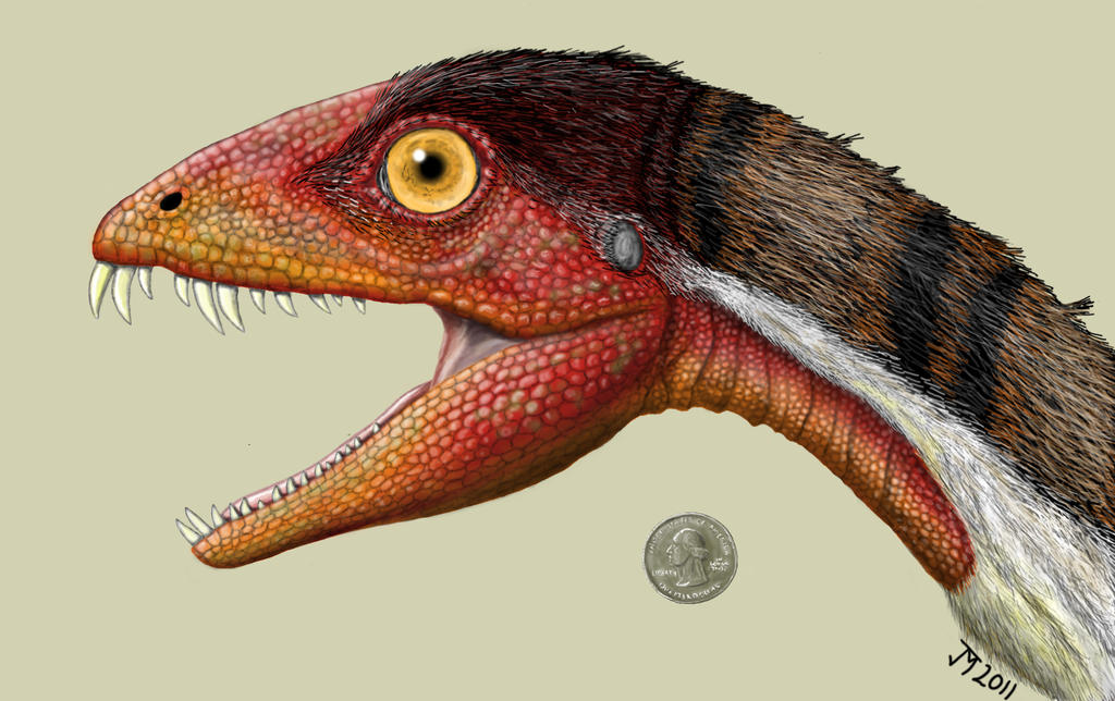 Daemonosaurus by Typothorax on DeviantArt