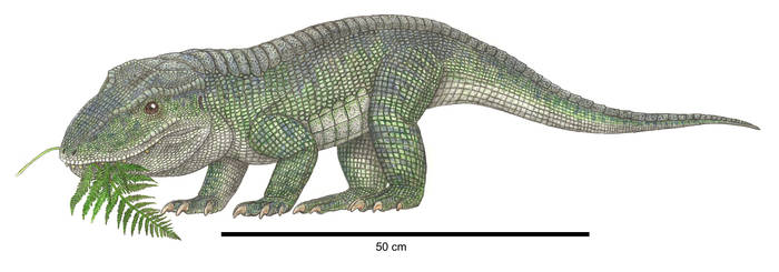 Revueltosaurus