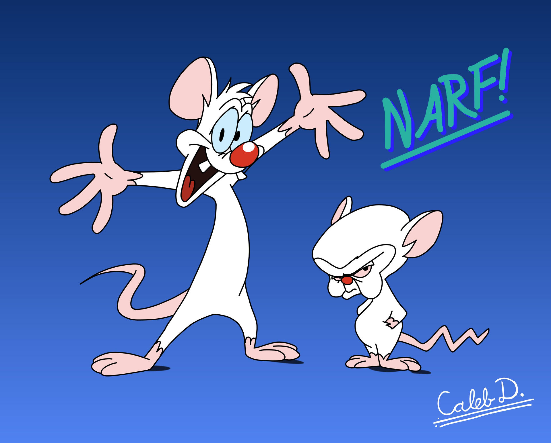 Animaniacs - Pinky and the Brain by CalebDoerksen20 on DeviantArt