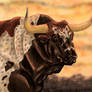 Bull