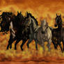 Sandstorm