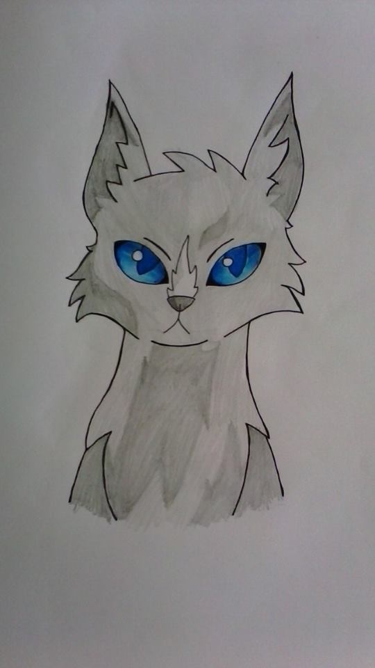 BlueStar - Warrior Cats by SilverSniper512 on DeviantArt