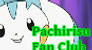 Pachirisu Fan Club avatar