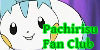 Pachirisu Fan Club avatar