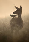 Travel .. by xTearsOfAnAngelx
