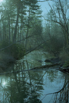 Horsepasture River Morn 4