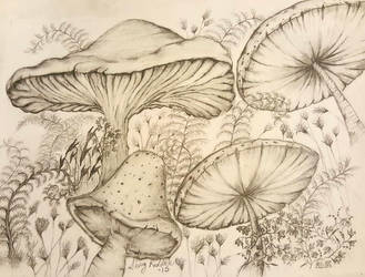 Mushroom Garden