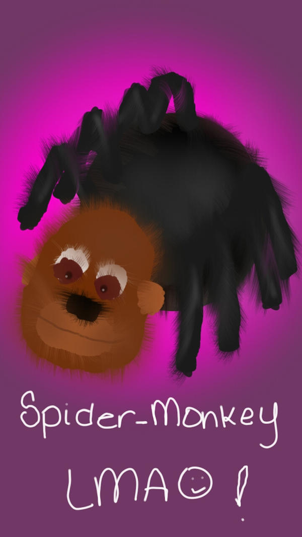 Spider Monkey Deviantart spider monkey by Badassbutterfly on DeviantArt
