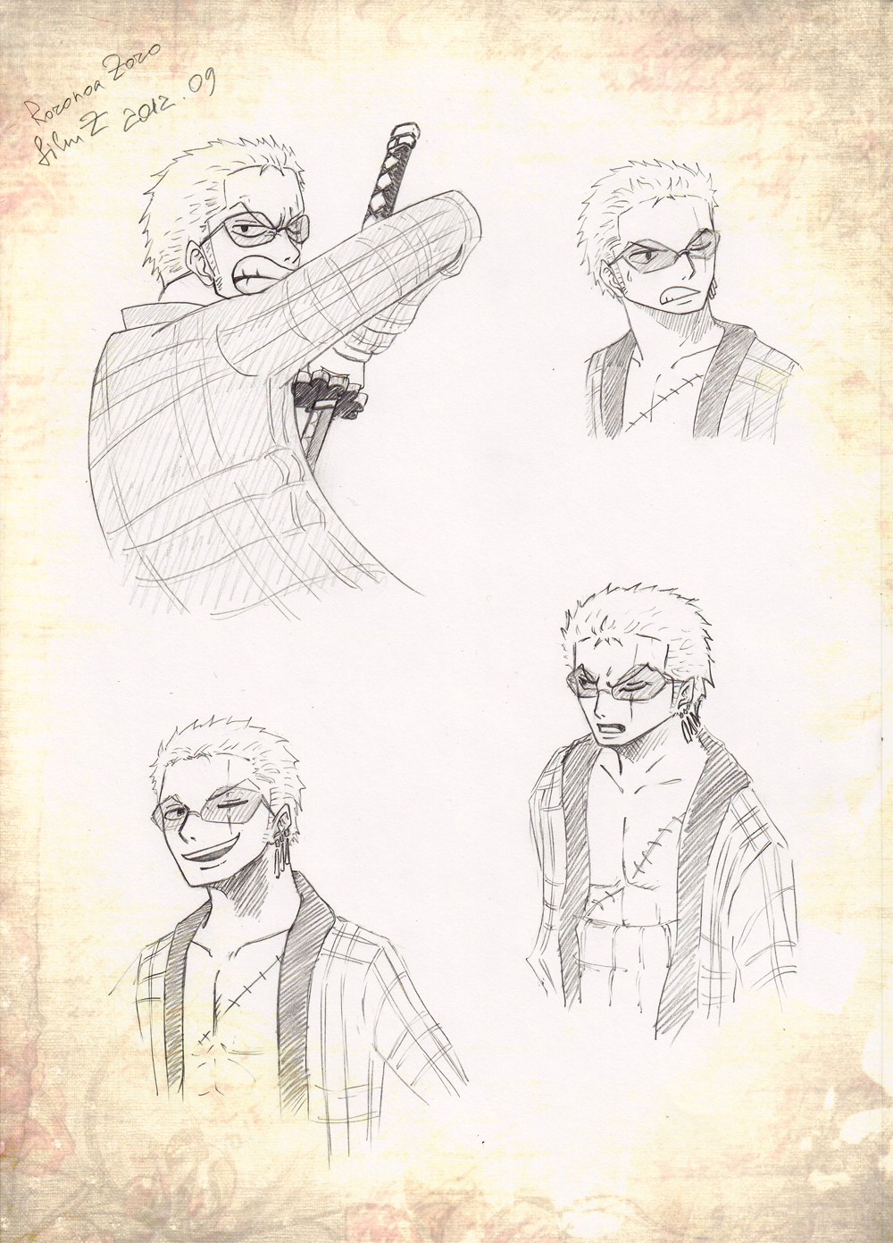 Zoro ver. Film Z