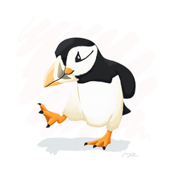 Puffin