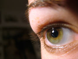 Eye Macro_Tres