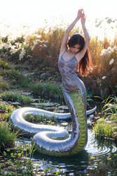 Lamia in Reeds 02