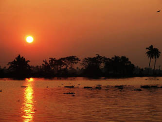 Kumarakom Backwaters 2