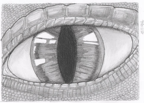 Puff's Eyes (pencil drawing)