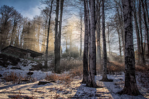 Sunrise in mountains