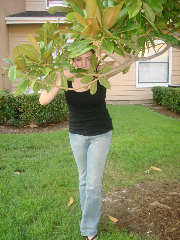 Tree_Sam 4 by andolyne-stock on DeviantArt