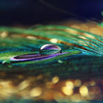 color world by Orwald