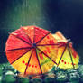colours of rain