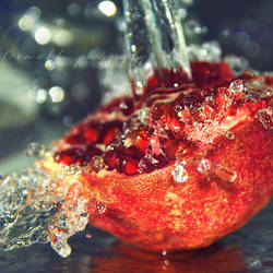 pomegranate by Orwald