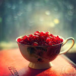 pomegranate cup by Orwald