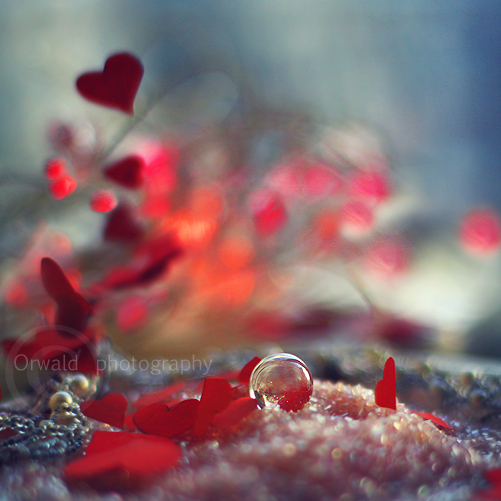 wind of love by Orwald