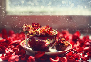 scarlet memories by Orwald scarlet memories by Orwald