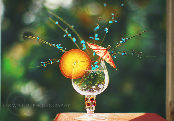 fresh morning by Orwald fresh morning by Orwald