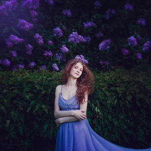 Lilac by Orwald Lilac by Orwald