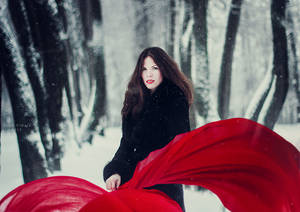 fire and ice by Orwald fire and ice by Orwald