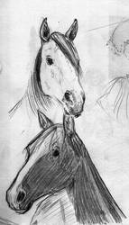 horse sketches from ago