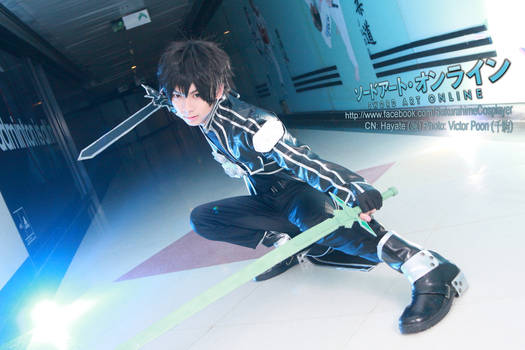 Kirito in Sword Art Online (2)