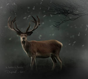 Deer in the Mist by Neitin