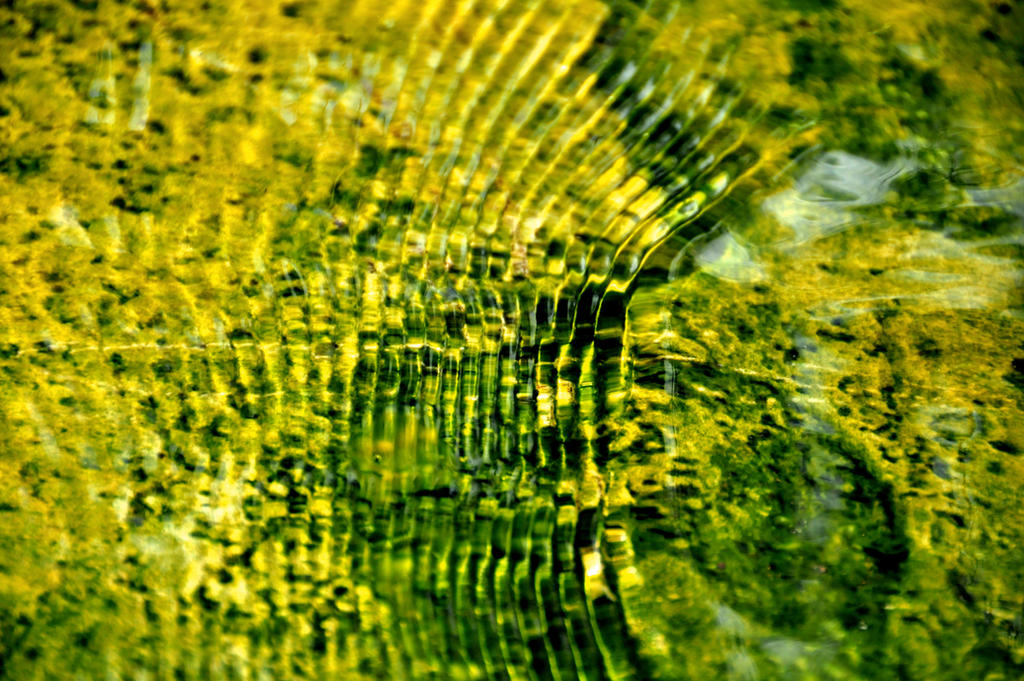 Shallow Color 01- Shallow Waters Deep Colors by JoeCorreia on DeviantArt