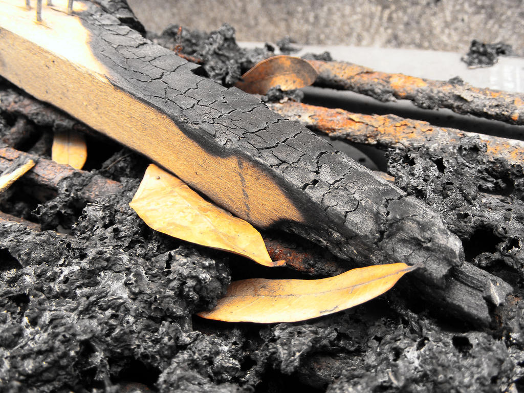 Charred Shell Charred by Lambrix on DeviantArt