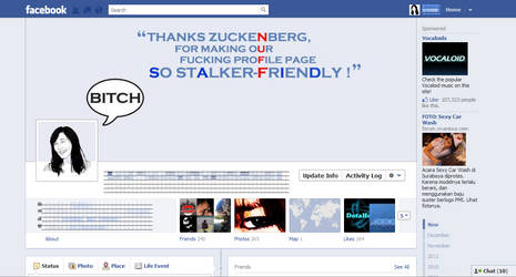 Facebook Timeline