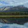 Reflections on the Past