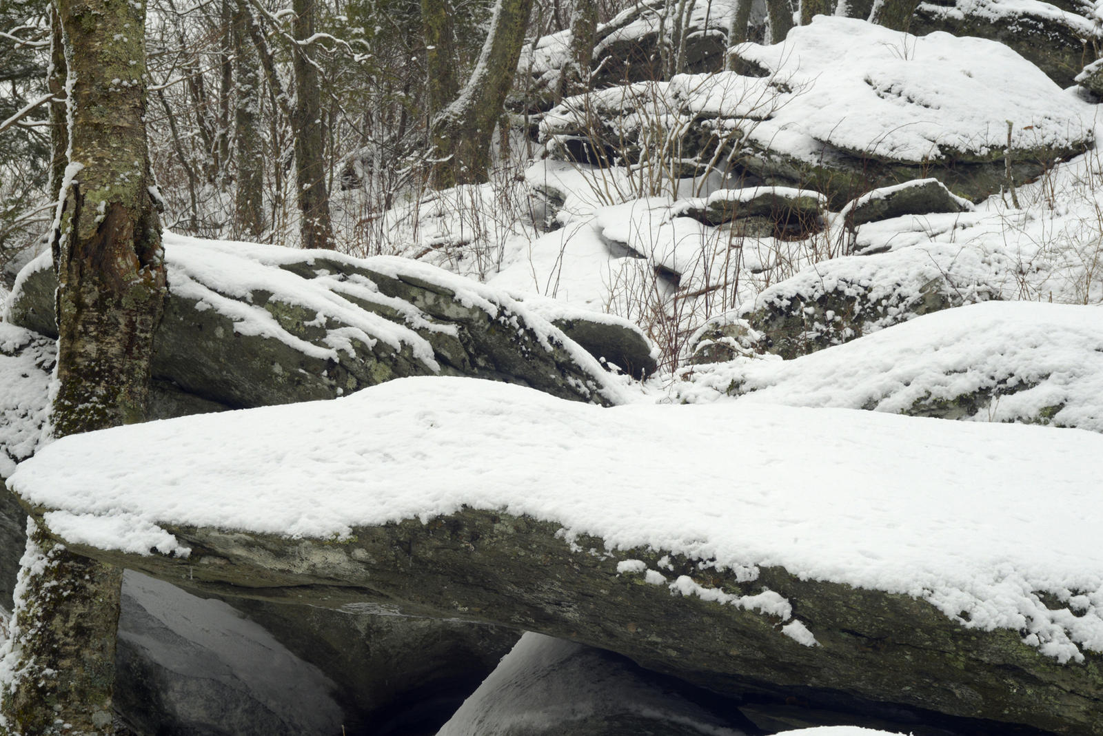 Snow Stones Stock