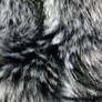Grey Fur Texture
