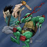 raph/casey color